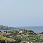 Lejlighed Musa Paradisiaca *