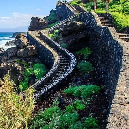 Musa Paradisiaca * Las Aguas