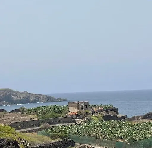 דירה Musa Paradisiaca *