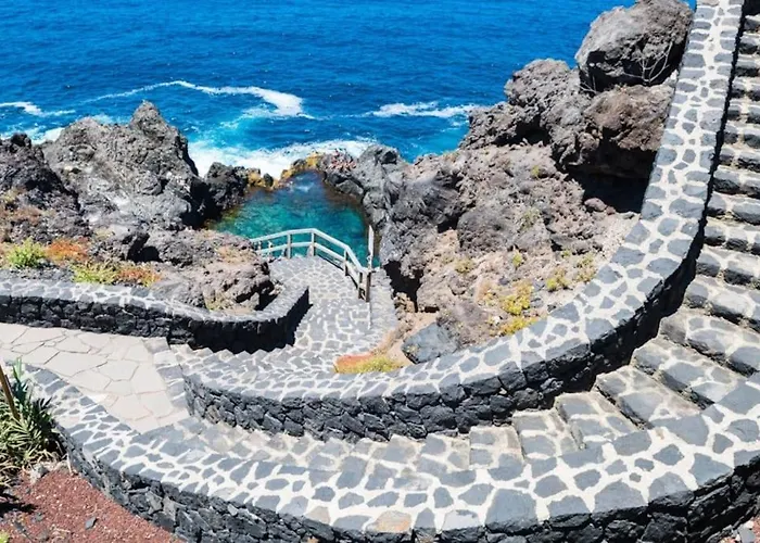 Musa Paradisiaca Las Aguas