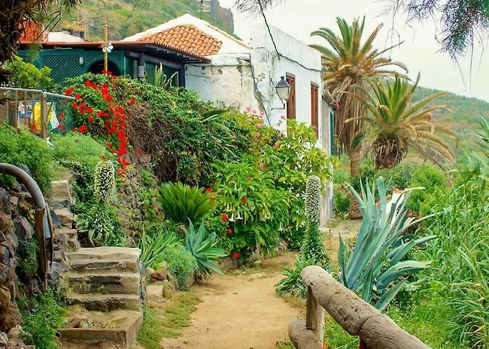 Musa Paradisiaca * Las Aguas