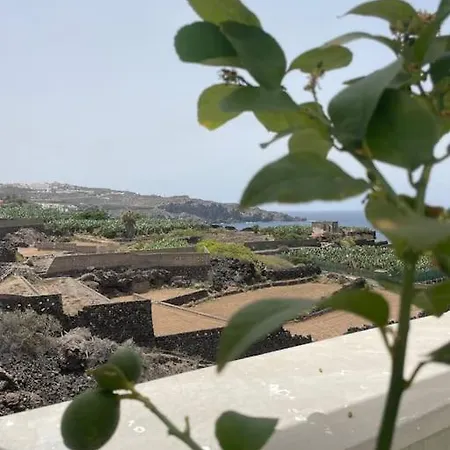 아파트 Musa Paradisiaca Las Aguas