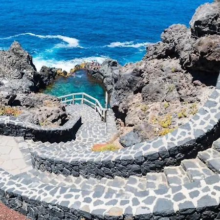 Musa Paradisiaca Las Aguas