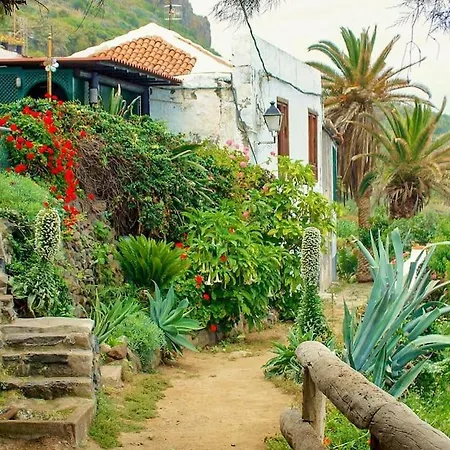 Musa Paradisiaca * Las Aguas