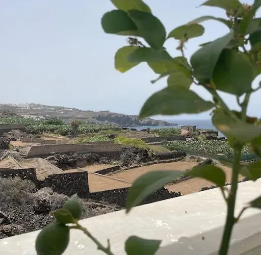 Lägenhet Musa Paradisiaca Las Aguas